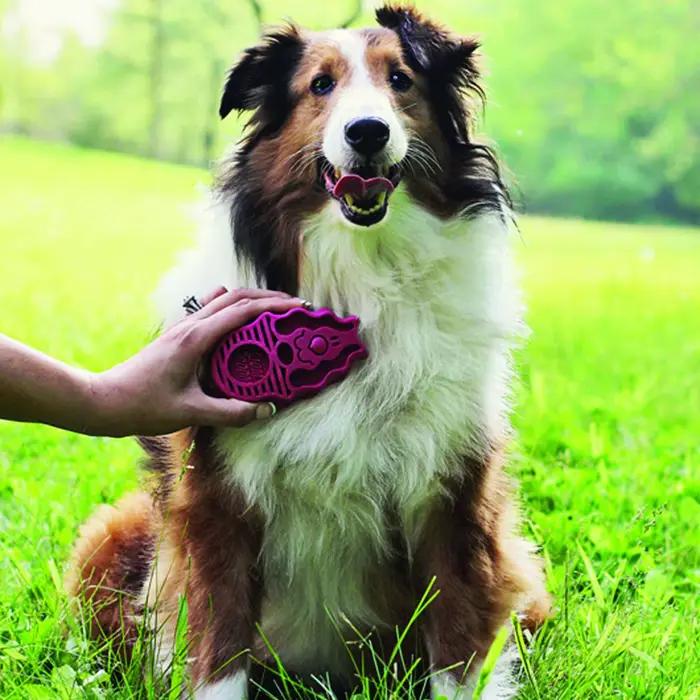 Brosse multi-usage KONG Dog ZoomGroom