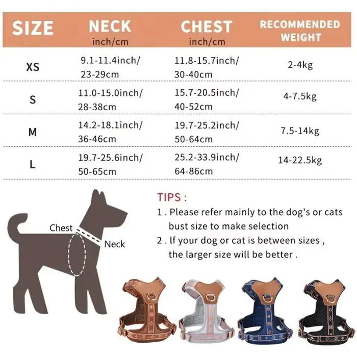Harnais pour chien avec sangle Durable
