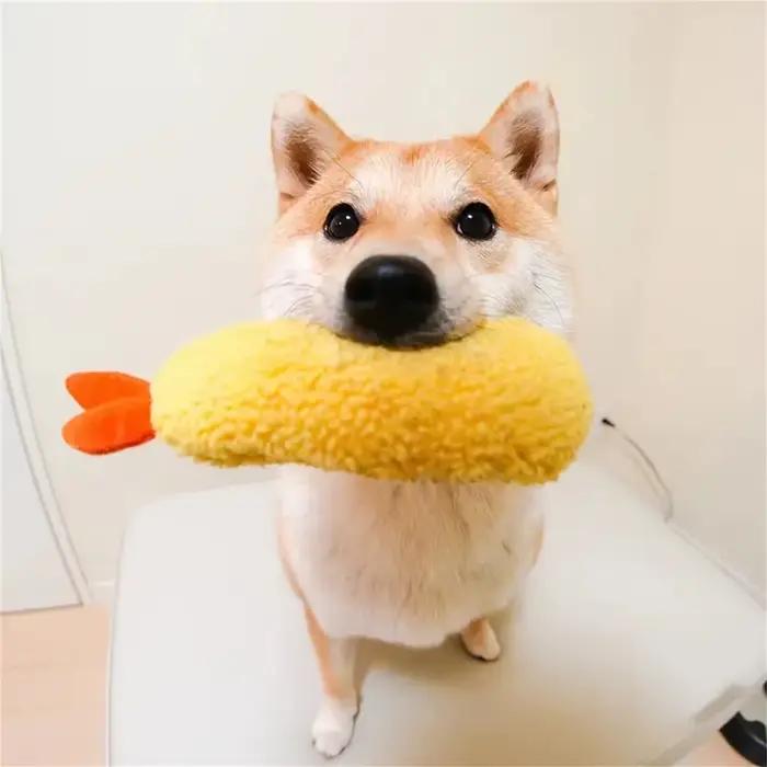 Jouet à mâcher en peluche pour animaux de compagnie