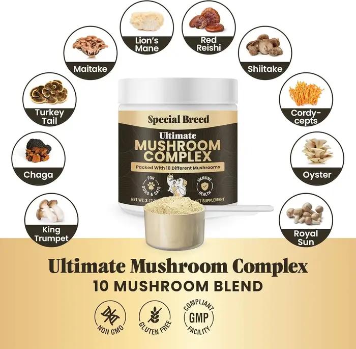 Poudre de champignons 90g pour chiens et chats