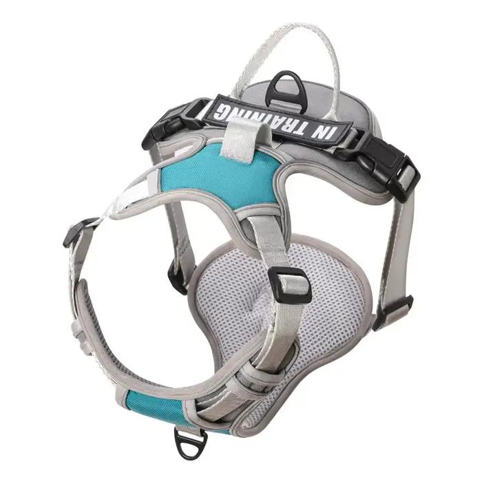 Harnais Anti-perte personnalisable pour chien