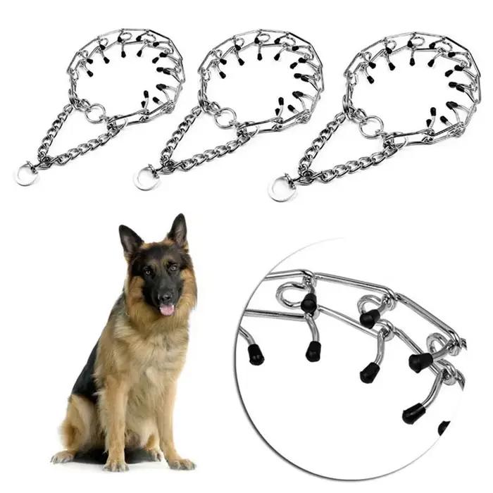 Collier de dressage à picots pour grand chien