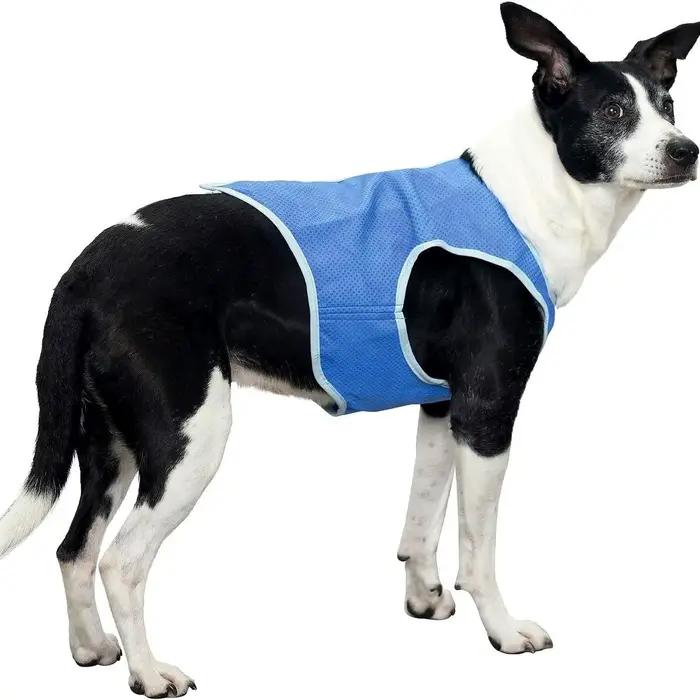 Gilet rafraîchissant pour animaux de compagnie pour chiens et chats