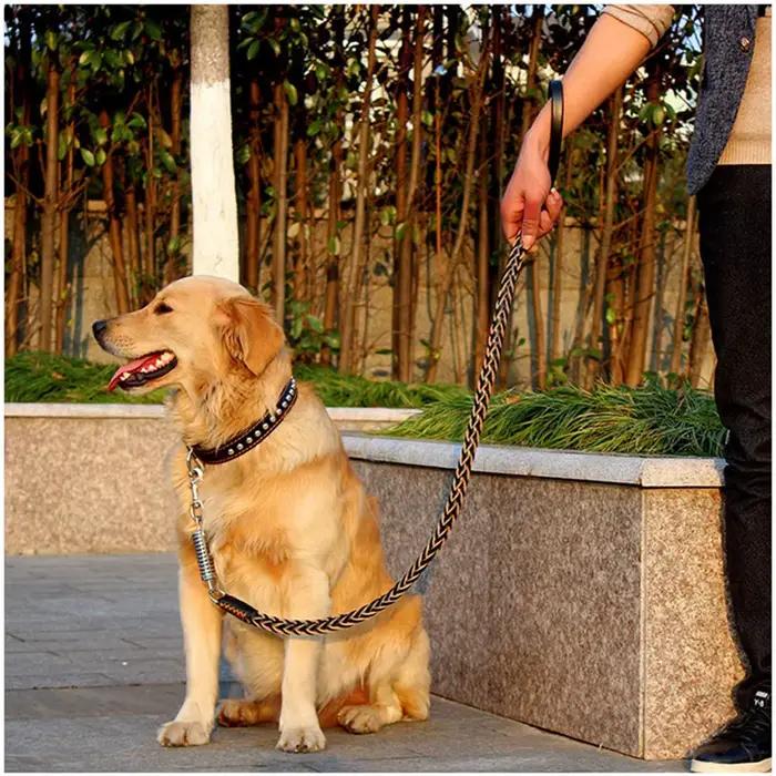 Laisse pour chien grande et robuste