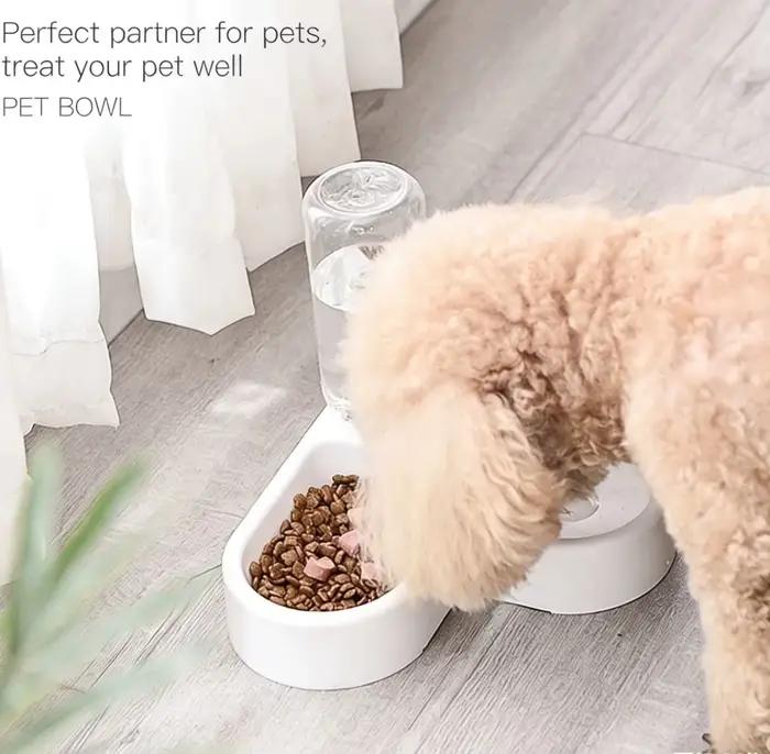 Bol double pour chien et chat - Ensemble de bols pour animaux de compagnie et pour la nourriture