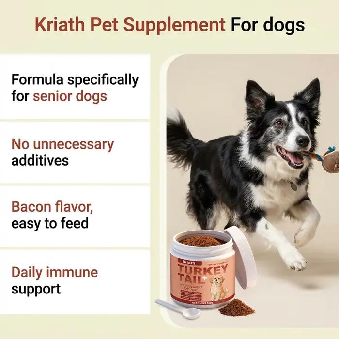 Poudre de complément nutritionnel pour chiens : Améliore la vitalité de l'animal
