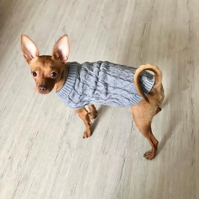 Vêtements tricotés pour chiens Chihuahua pull pour petits