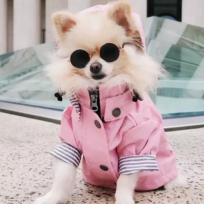 Manteau imperméable pour chien
