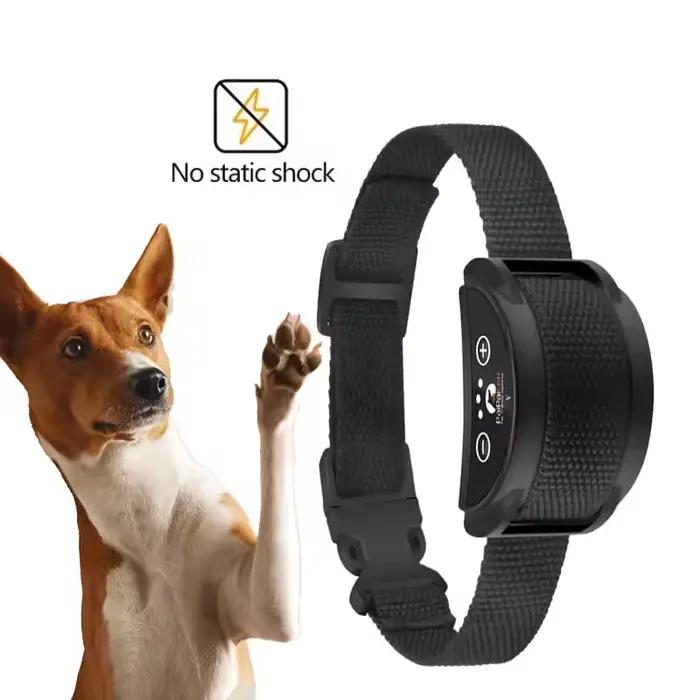 Collier de dressage anti-aboiement pour chien