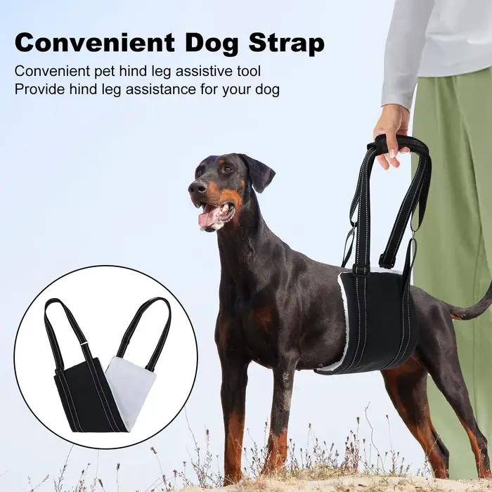 Artificiel évateur réglable SFP pour chien