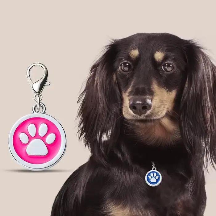 Étiquettes d'adresse personnalisables pour collier de chien
