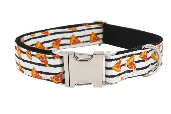Collier et laisse pour chien