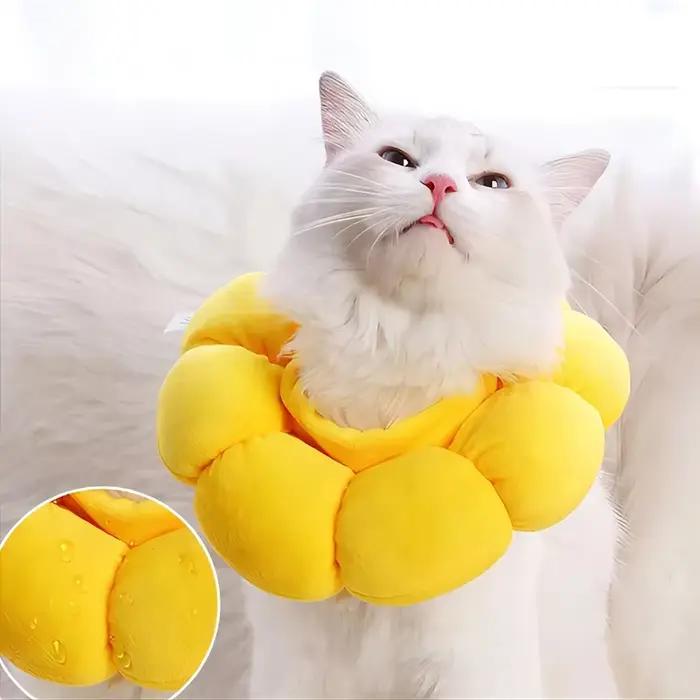Collier réglable pour animaux de compagnie