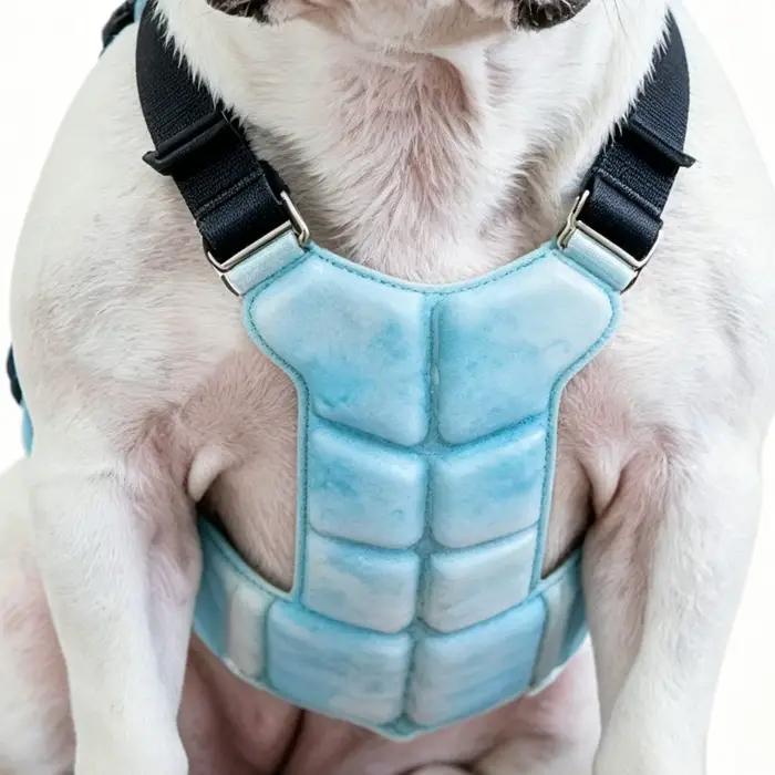 Harnais rafraîchissant pour chiens