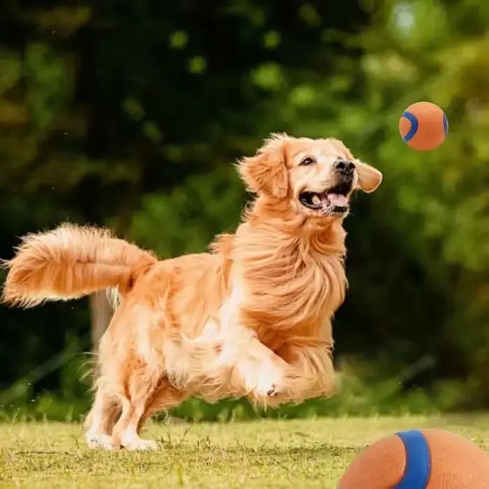 Balle de jouet pour chien
