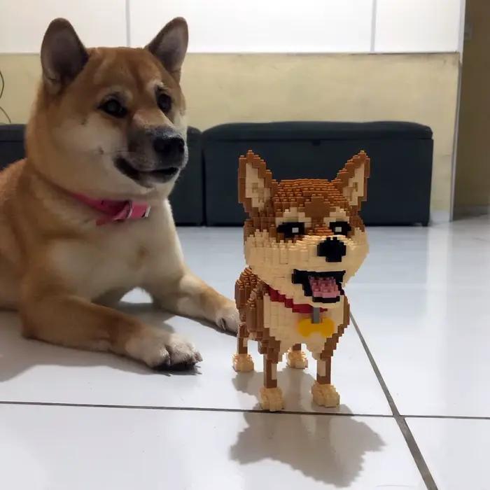 KNEW BUILT Shiba Inu chiens modèle Micro Mini blocs de construction: jouets de loisirs éducatifs pour les cadeaux des amoureux des animaux de compagnie et décor Husky