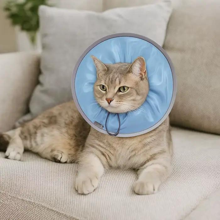 Collier élisabéthain Anti-léchage pour animaux de compagnie