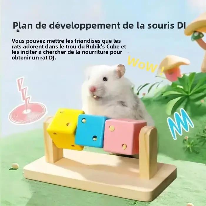 Jouet à mâcher interactif en bois coloré en forme de cube Rubik