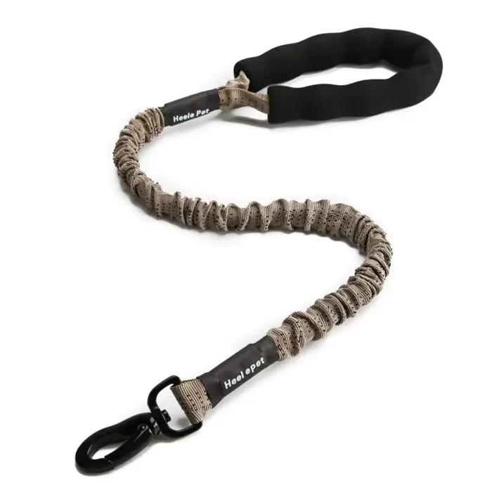 Amorti de laisse Flexible pour chien