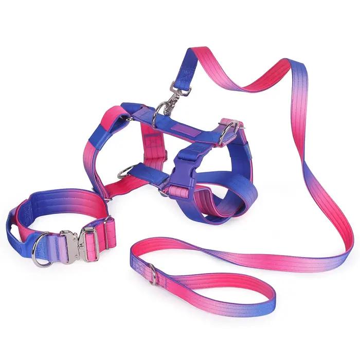Harnais tactique pour chien