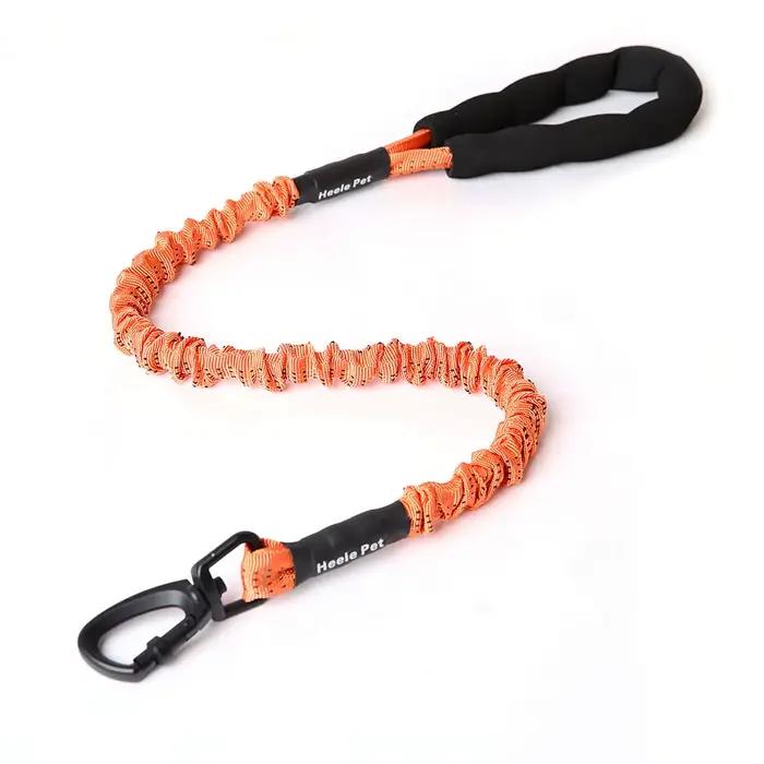 Amorti de laisse Flexible pour chien