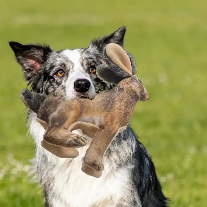 Jouet à mâcher pour animaux de compagnie