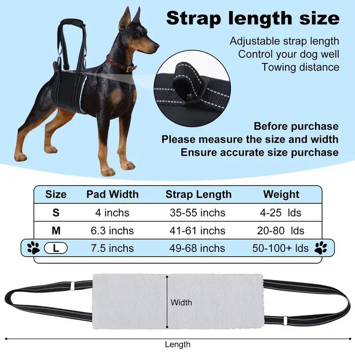 Artificiel évateur réglable SFP pour chien