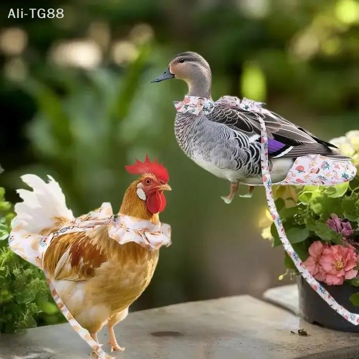 1/2 Pièces Ensemble de laisse de traction pour animaux de compagnie