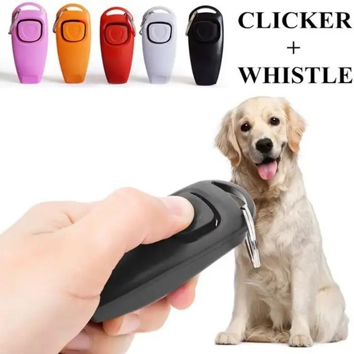 Clicker 2 en 1 pour chien