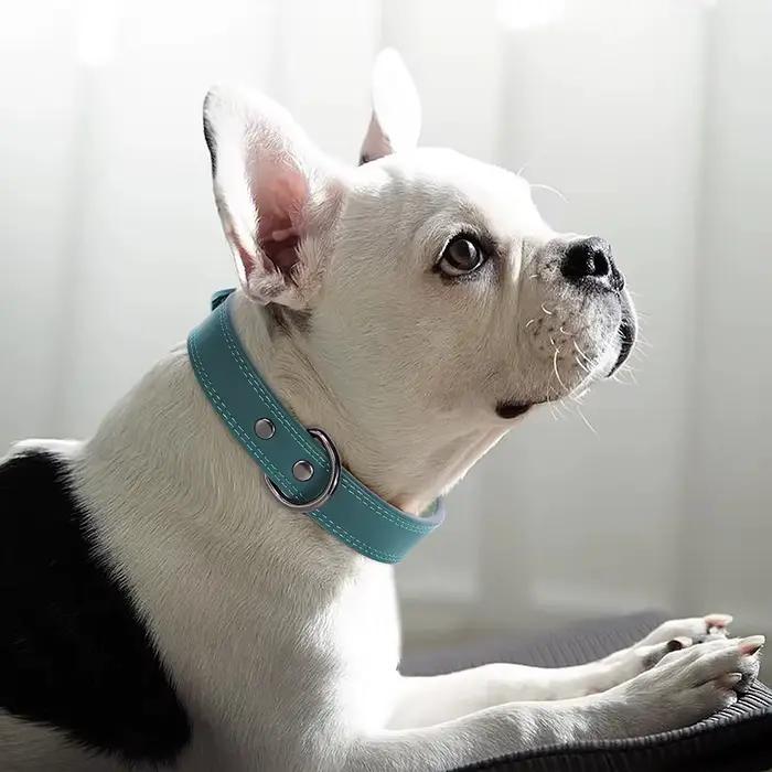Collier de chien en cuir véritable souple et Durable