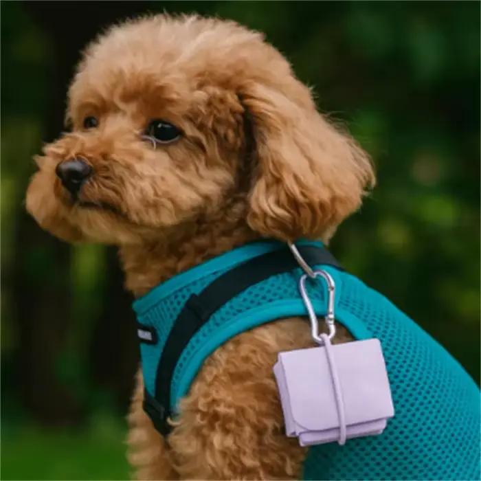 Bol pliable pour chien