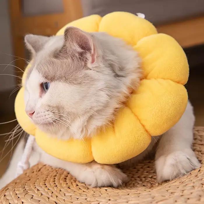 Cône UR pour chat élisabéthain mignon pour animaux de compagnie