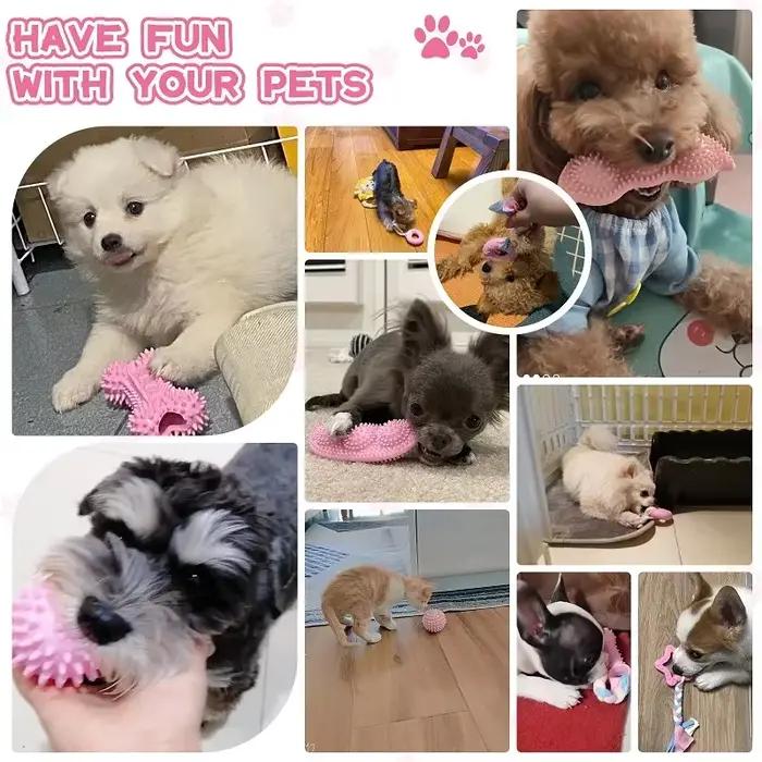 Jouets à mâcher pour chiens