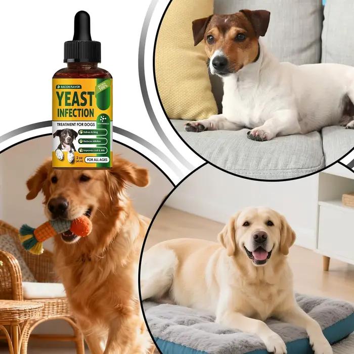 Huile apaisante naturelle anti-démangeaisons pour chiens