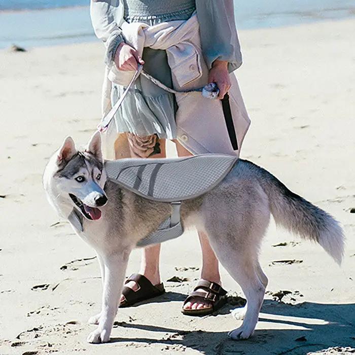 Gilet rafraîchissant pour chien