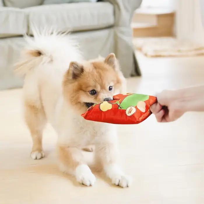 Jouet pour chien amusant en forme de sac de chips