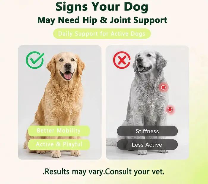 250g de friandises à mâcher pour chiens pour le soutien des articulations