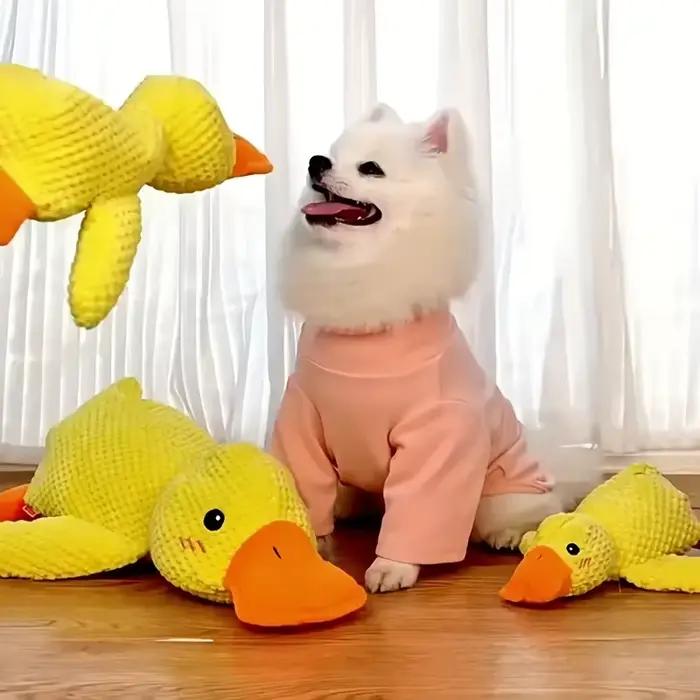 Jouets pour chiens, canards jaunes