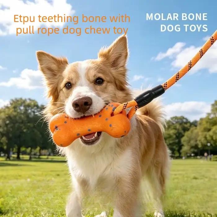Jouet à mâcher pour chien ETPU