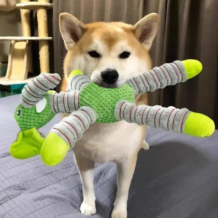Jouet en peluche pour chien