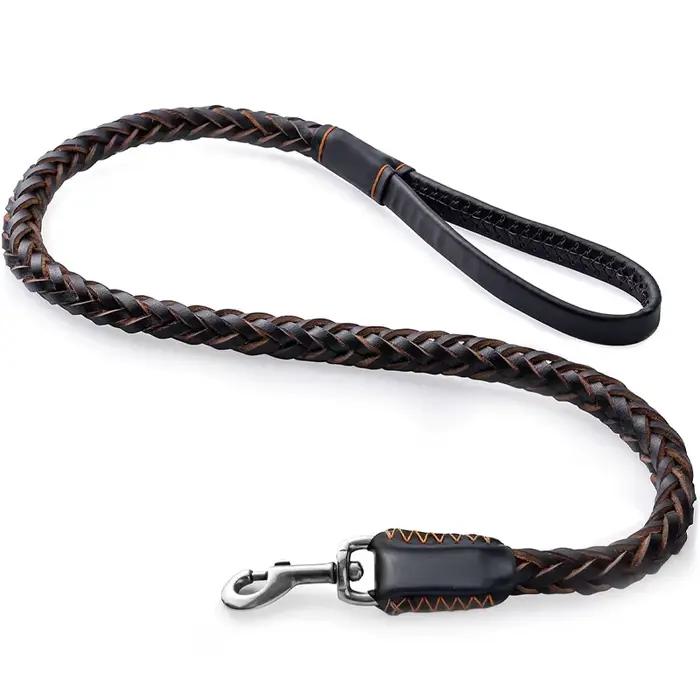 Laisse pour chien robuste et résistante