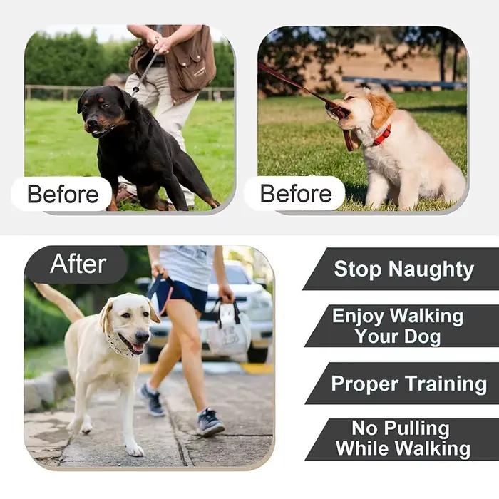 Collier pour chien pour entraînement anti-traction