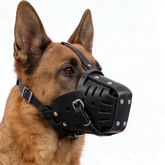 Muselière en cuir respirante pour chien