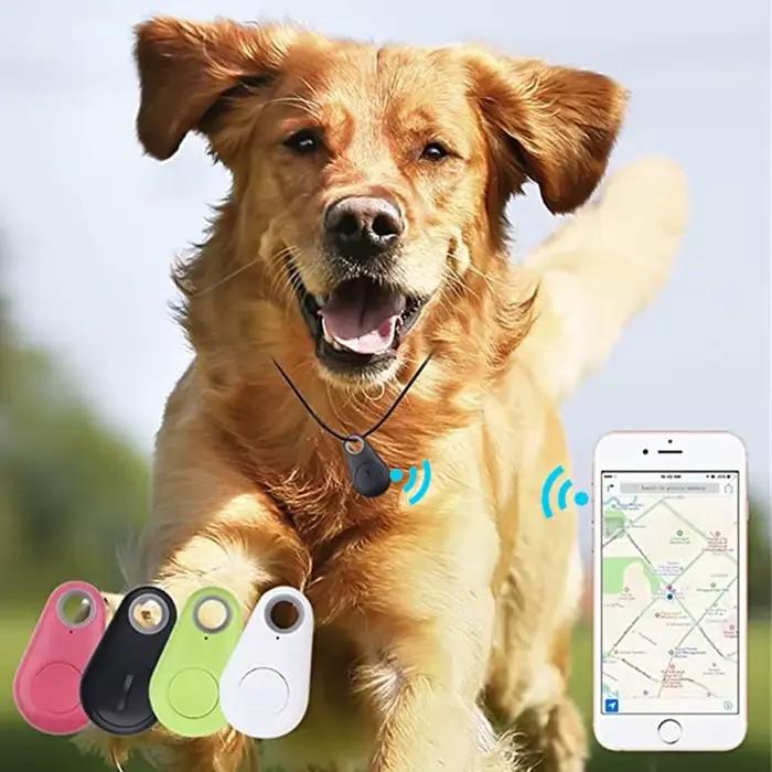 Traceur GPS intelligent pour animaux de compagnie