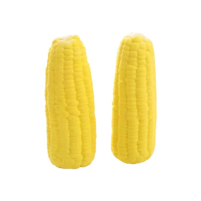 Jouets pour animaux de compagnie