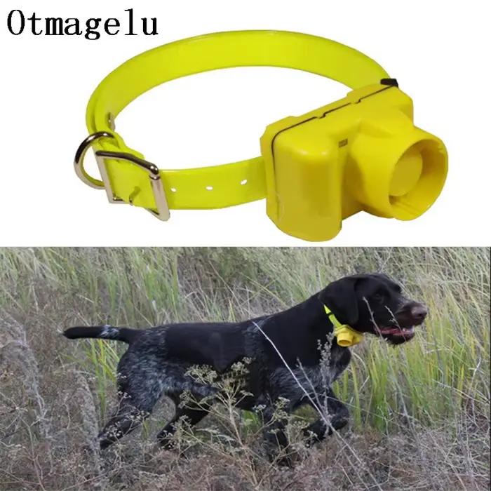 Collier Électrique de html Professionnel pour Chien