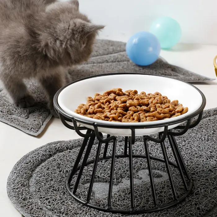 Bol surélevé en céramique pour animaux de compagnie
