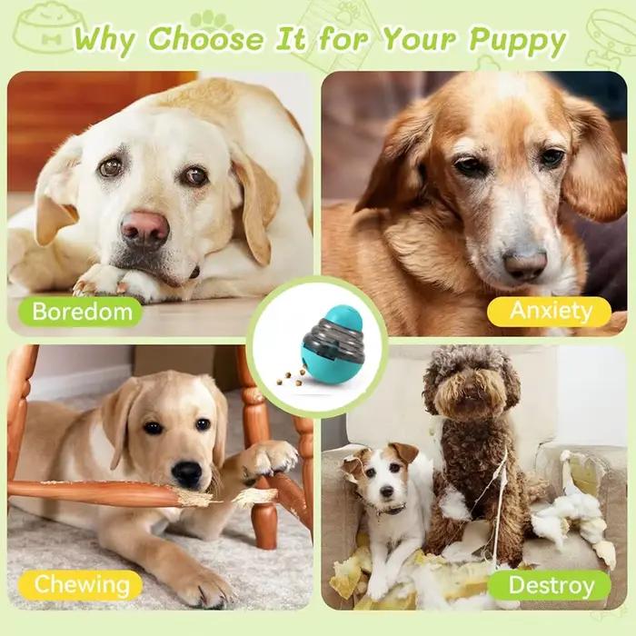 Distributeur de nourriture interactif pour chiens