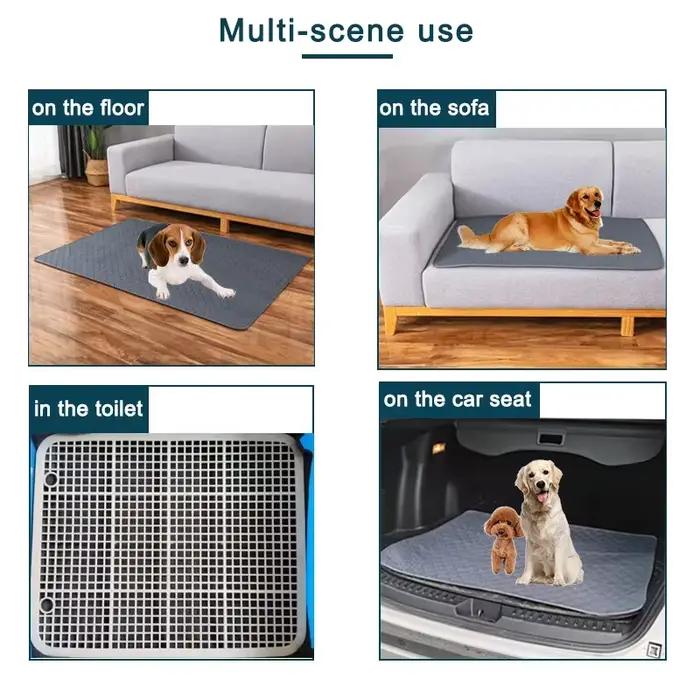 Couverture absorbante réutilisable pour chien