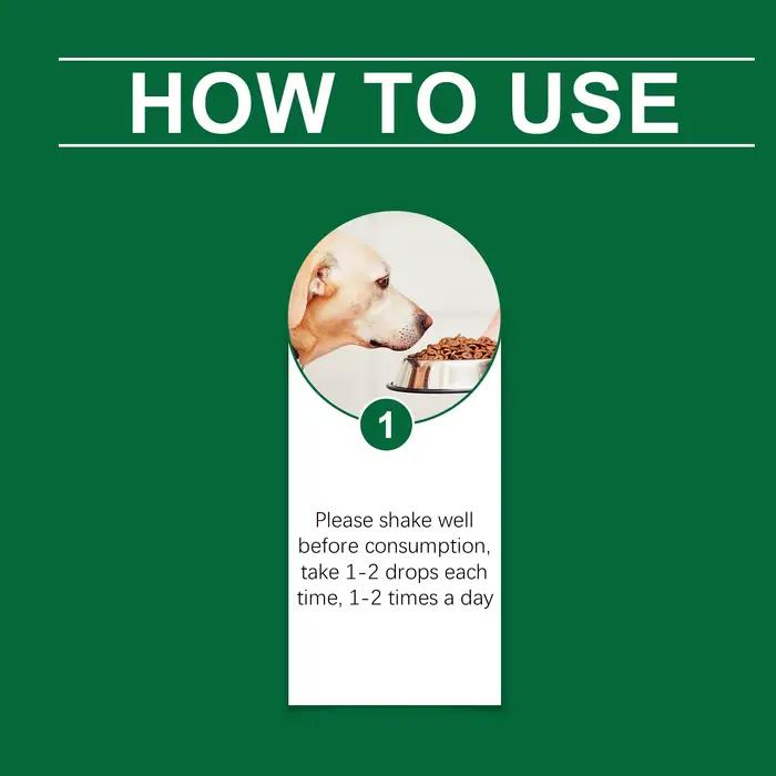 Supplément multivitaminique stimulant l'immune pour chiens